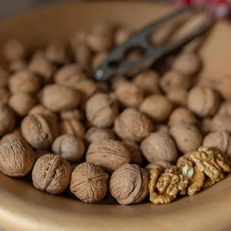 Pocitniska Hisa Pr Martinovih Postojna